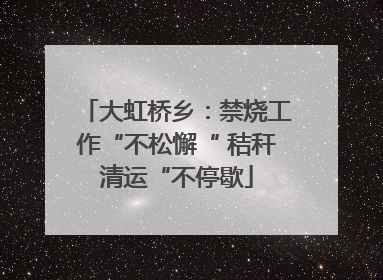 大虹桥乡：禁烧工作“不松懈“ 秸秆清运“不停歇