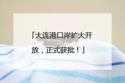 大连港口岸扩大开放，正式获批！