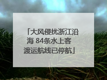 大风侵扰浙江沿海 84条水上客渡运航线已停航