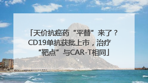 天价抗癌药“平替”来了？CD19单抗获批上市，治疗“靶点”与CAR-T相同