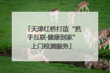 天津红桥打造“携手互联·健康到家”上门检测服务