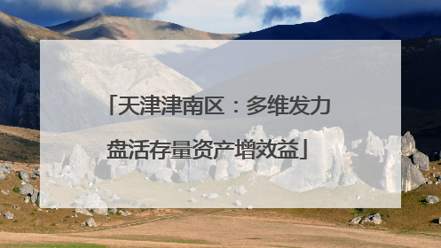 天津津南区：多维发力盘活存量资产增效益