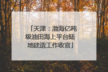 天津：渤海亿吨级油田海上平台陆地建造工作收官