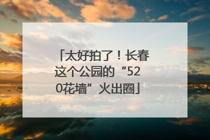 太好拍了！长春这个公园的“520花墙”火出圈