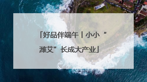 好品伴端午丨小小“潍艾”长成大产业