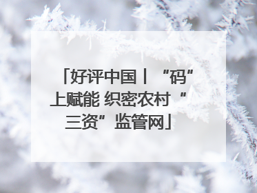 好评中国丨“码”上赋能 织密农村“三资”监管网