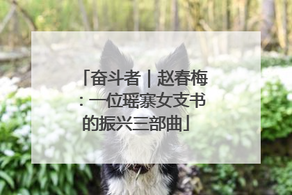 奋斗者｜赵春梅：一位瑶寨女支书的振兴三部曲