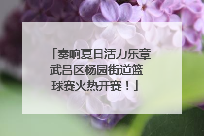 奏响夏日活力乐章 武昌区杨园街道篮球赛火热开赛！