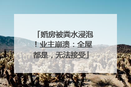 婚房被粪水浸泡！业主崩溃：全屋都是，无法接受
