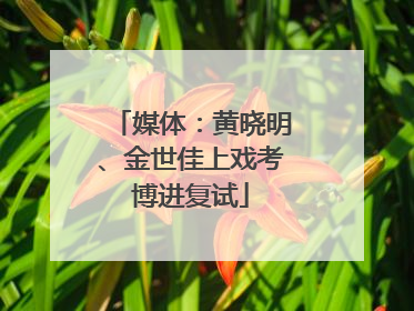 媒体：黄晓明、金世佳上戏考博进复试