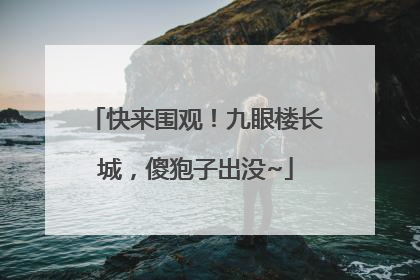 快来围观！九眼楼长城，傻狍子出没~