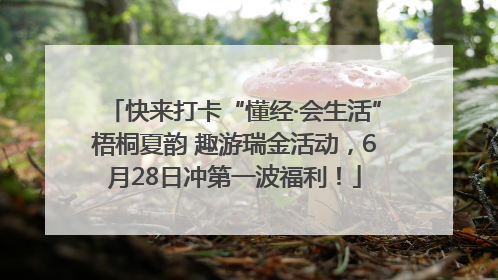 快来打卡“懂经·会生活”梧桐夏韵 趣游瑞金活动，6月28日冲第一波福利！