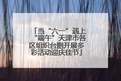 当“六一”遇上“端午”天津市各区组织台胞开展多彩活动迎庆佳节