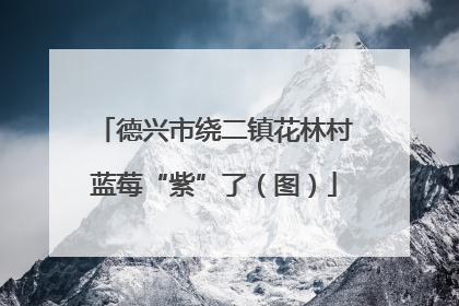 德兴市绕二镇花林村蓝莓“紫”了（图）