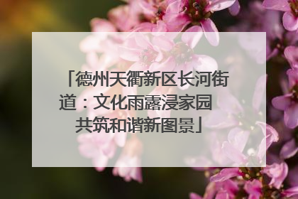 德州天衢新区长河街道：文化雨露浸家园 共筑和谐新图景