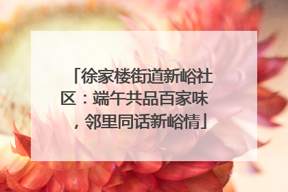 徐家楼街道新峪社区：端午共品百家味，邻里同话新峪情