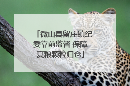 微山县留庄镇纪委靠前监督 保障夏粮颗粒归仓