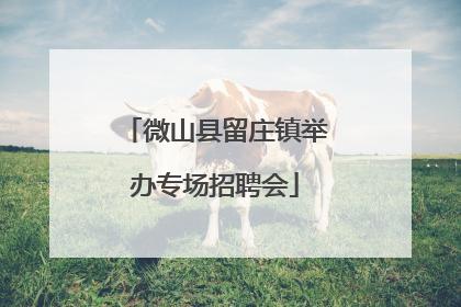 微山县留庄镇举办专场招聘会