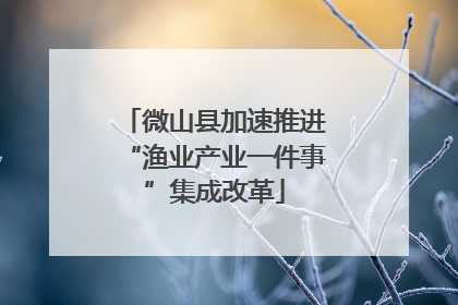 微山县加速推进“渔业产业一件事”集成改革
