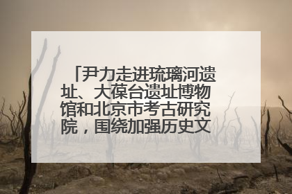 尹力走进琉璃河遗址、大葆台遗址博物馆和北京市考古研究院，围绕加强历史文化名城保护调研
