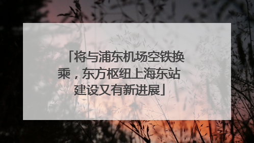 将与浦东机场空铁换乘，东方枢纽上海东站建设又有新进展