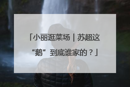小丽逛菜场｜苏超这“鹅”到底谁家的？