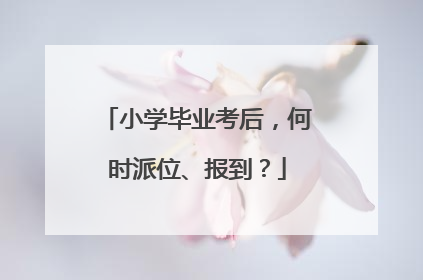 小学毕业考后，何时派位、报到？
