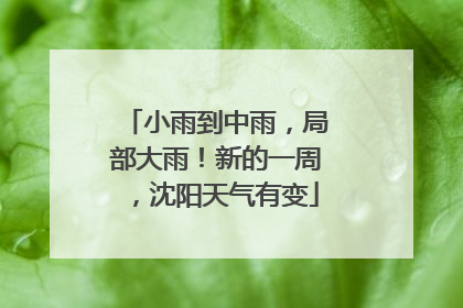小雨到中雨，局部大雨！新的一周，沈阳天气有变