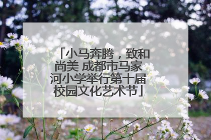 小马奔腾，致和尚美 成都市马家河小学举行第十届校园文化艺术节