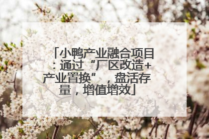 小鸭产业融合项目：通过“厂区改造+产业置换”，盘活存量，增值增效