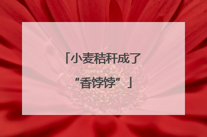 小麦秸秆成了“香饽饽”
