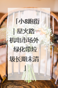 小8跑街｜星火路一机电市场外 绿化带垃圾长期未清