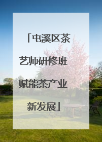 屯溪区茶艺师研修班赋能茶产业新发展