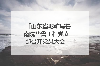 山东省地矿局鲁南院华鲁工程党支部召开党员大会