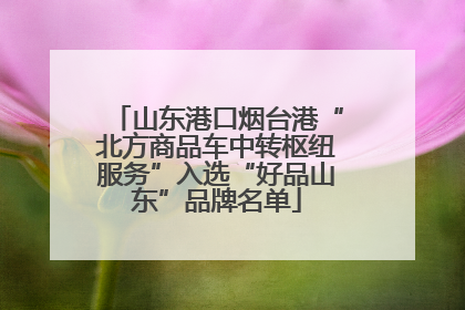 山东港口烟台港“北方商品车中转枢纽服务”入选“好品山东”品牌名单