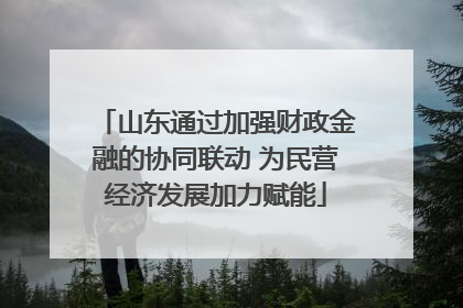山东通过加强财政金融的协同联动 为民营经济发展加力赋能