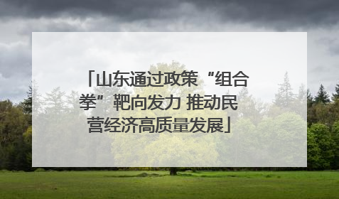 山东通过政策“组合拳”靶向发力 推动民营经济高质量发展