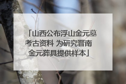 山西公布浮山金元墓考古资料 为研究晋南金元葬具提供样本