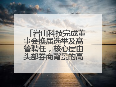 岩山科技完成董事会换届选举及高管聘任，核心层由头部券商背景的高管掌控