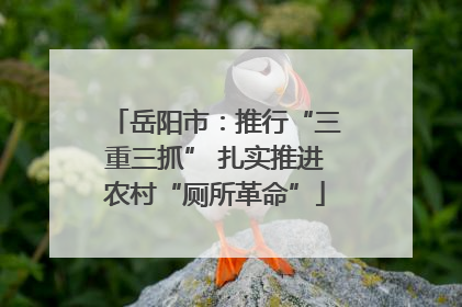 岳阳市：推行“三重三抓” 扎实推进农村“厕所革命”