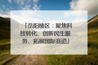 岳阳楼区：聚焦科技转化、创新民生服务、拓展国际赛道