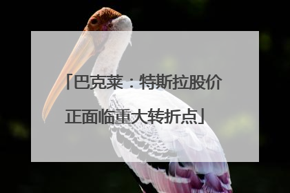 巴克莱：特斯拉股价正面临重大转折点