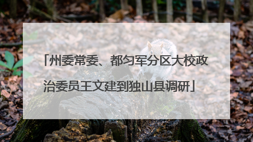 州委常委、都匀军分区大校政治委员王文建到独山县调研
