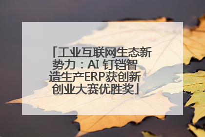 工业互联网生态新势力：AI 钉铛智造生产ERP获创新创业大赛优胜奖