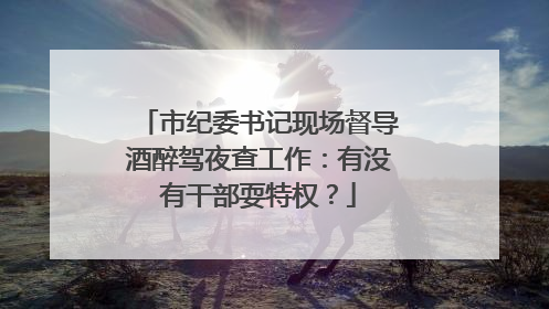市纪委书记现场督导酒醉驾夜查工作：有没有干部耍特权？