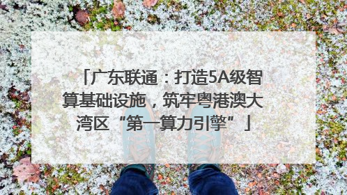 广东联通：打造5A级智算基础设施，筑牢粤港澳大湾区“第一算力引擎”