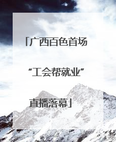 广西百色首场“工会帮就业”直播落幕