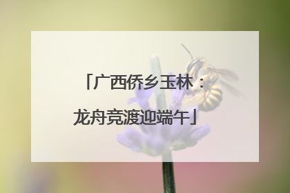 广西侨乡玉林：龙舟竞渡迎端午