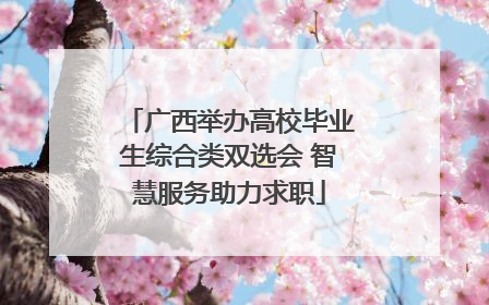 广西举办高校毕业生综合类双选会 智慧服务助力求职