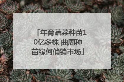 年育蔬菜种苗10亿多株 曲周种苗缘何俏销市场